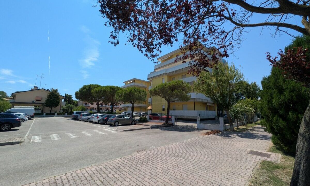 esterni (12)